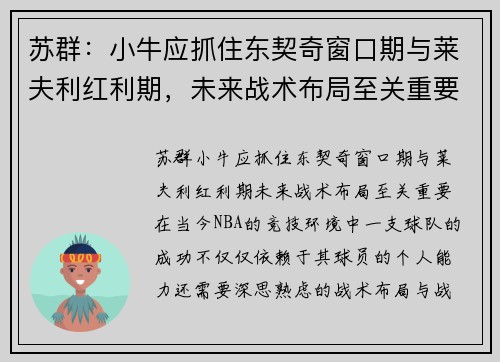 苏群：小牛应抓住东契奇窗口期与莱夫利红利期，未来战术布局至关重要