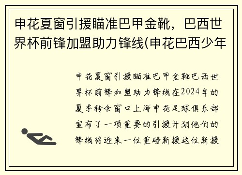 申花夏窗引援瞄准巴甲金靴，巴西世界杯前锋加盟助力锋线(申花巴西少年队)
