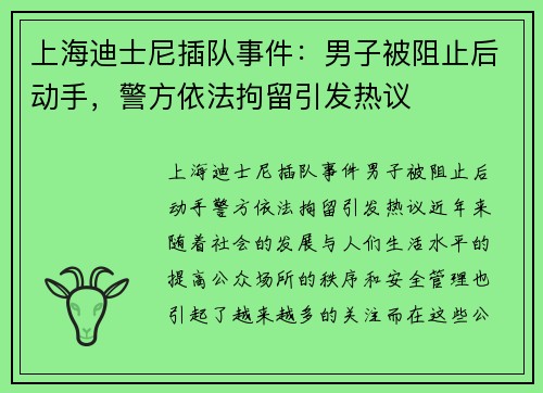 上海迪士尼插队事件：男子被阻止后动手，警方依法拘留引发热议